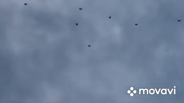 Элиста Племенной сезон 2021 апрель ч.2 смотреть онлайн