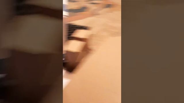 Гидропоника 1 бөлім смотреть онлайн