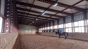 Полуодержка  в действии. Учебная рысь на кабардинской учебной лошади.