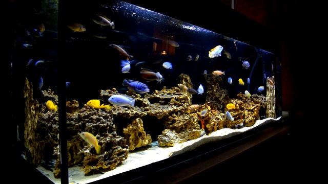 600 6997 смотреть онлайн