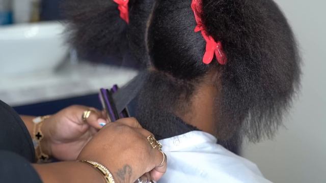 How Braids HarmYour Hair | Does The RevAir work on 4C Hair? смотреть онлайн