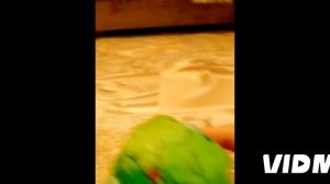 Просто красивое дерево.