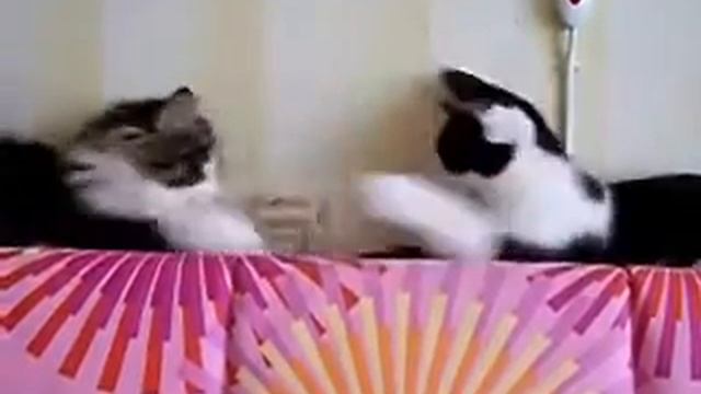 Нельсон и Клеопатра смотреть онлайн