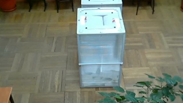 "Урна", УИК 2205 Краснодар, 4 марта, ч.12 смотреть онлайн