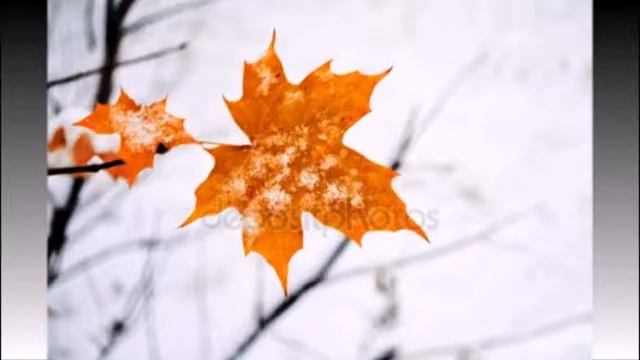 Кленовий лист смотреть онлайн