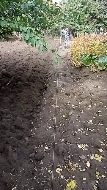 Рабочий процесс вспашки земли