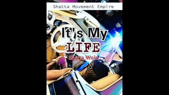Shatta Wale - It's My Life [Sarkodie Diss] (Audio Slide) смотреть онлайн