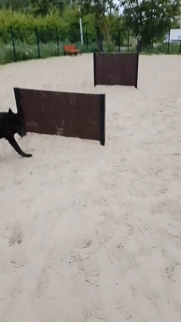 с Демой на новой площадке смотреть онлайн