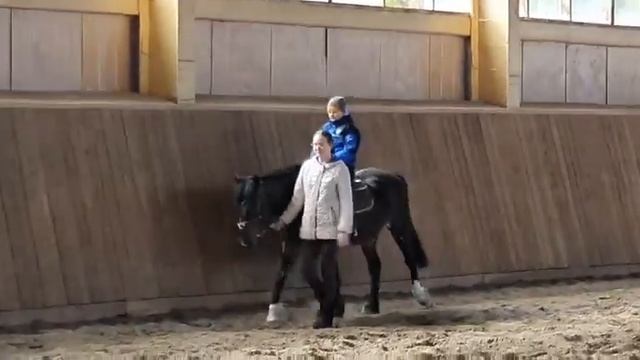 Как я учился ездить на лошади 🐎 смотреть онлайн