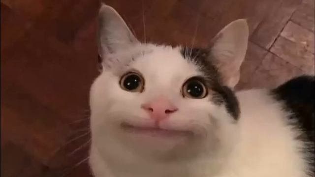 Это видео идёт 1 секунду.