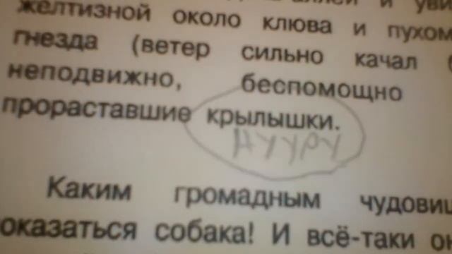 Крылышки Нууру. смотреть онлайн