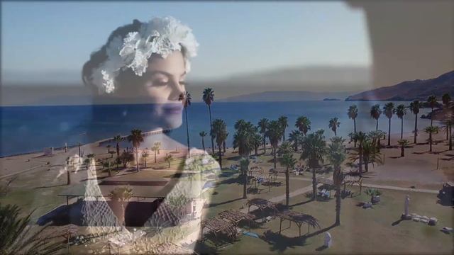 ceylan+berk wedding short film Sept.23.2017 смотреть онлайн