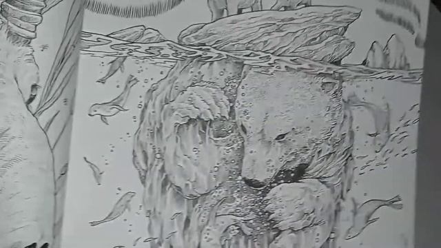 Color book flip throughs смотреть онлайн