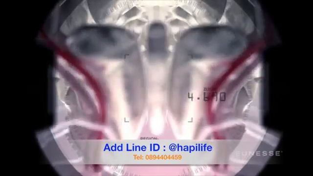 ZEN BODI™ Holistic Approach to Weight Management Line ID: @hapilife смотреть онлайн