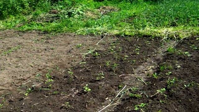 САМВЕЛ ПОСТОЯННО ВРЁТ - ДОКАЗАТЕЛЬСТВА смотреть онлайн