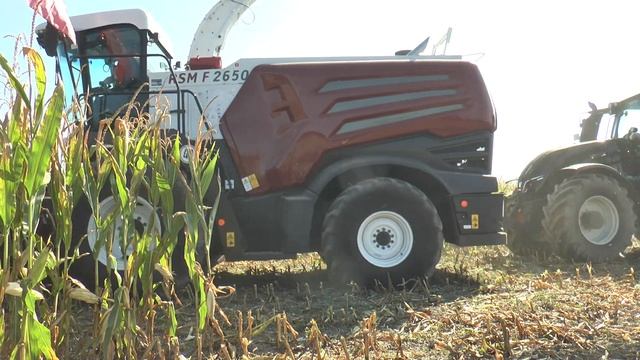 Rostselmash RSM F 2650 maize demo with Lely Tigo смотреть онлайн