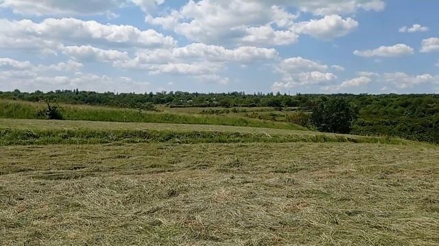 смотрим как на поле высохло сено смотреть онлайн