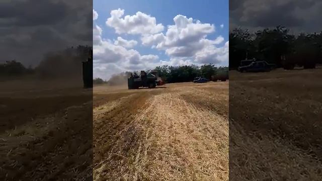 ск6 колос в строю смотреть онлайн