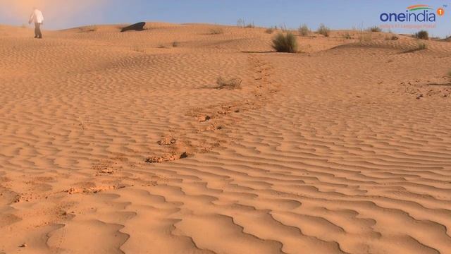 Kuwait witness 62 degrees Celsius temperature, Trees and bushes catch fire, Watch | Oneindia News смотреть онлайн