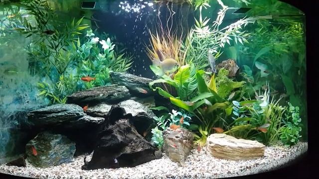 Trigon 190 Tropical fish смотреть онлайн