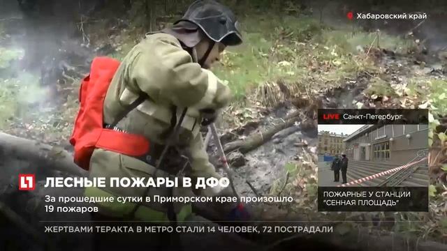 Площадь возгораний на Дальнем Востоке увеличилась в 2,5 раза смотреть онлайн