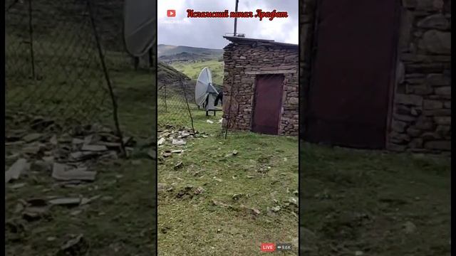 Аварский нашид смотреть онлайн