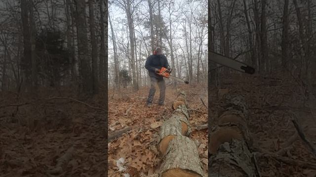 372xp смотреть онлайн