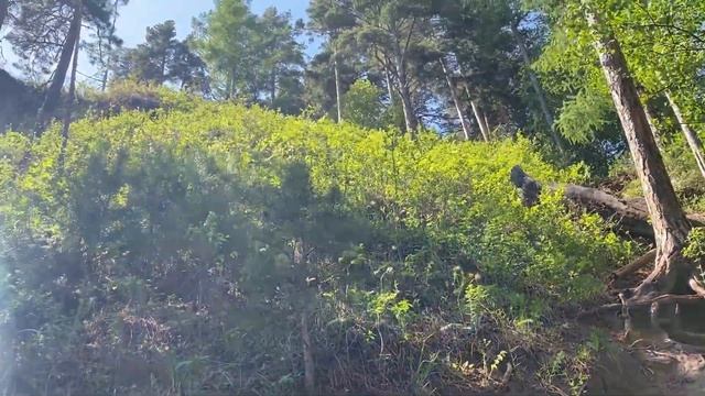 Шаманский утес 33 богатыря. Заброшенные дома и подвесной мост в Шаманке. Поселок Шаманка. Река Ирку