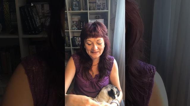 Весы любовь август смотреть онлайн