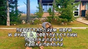 Туториал на бег рысь в квадробике.