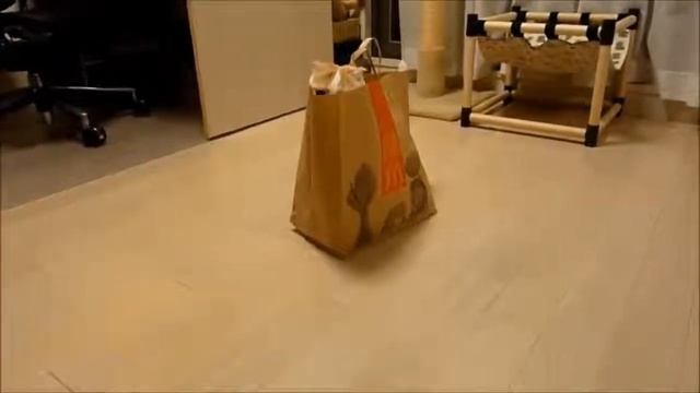 Смешные кошки.Часть 2 смотреть онлайн