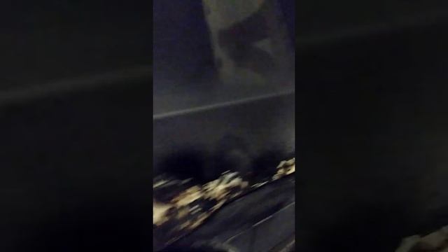 7 декабря 2019 г. смотреть онлайн