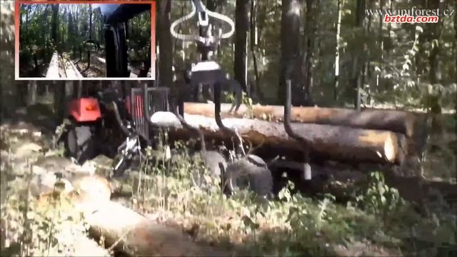 Перевозка леса Беларус 320.4 смотреть онлайн