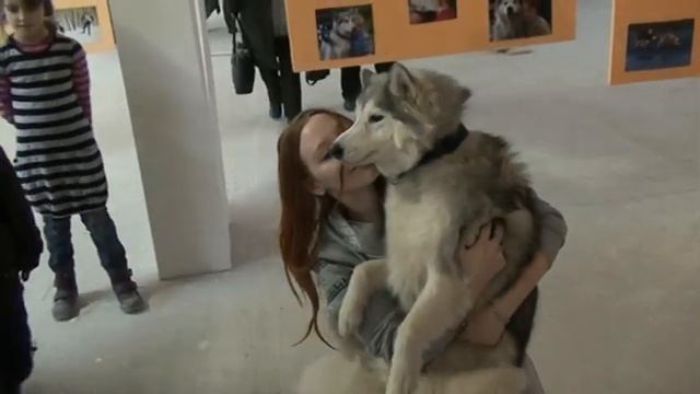 Видео с выставки 001 смотреть онлайн