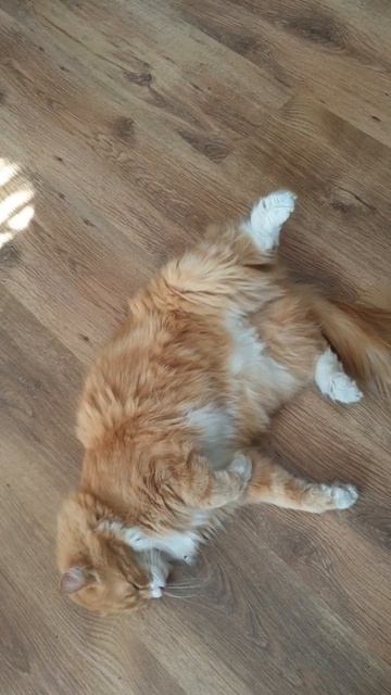 Дрожь не унять. смотреть онлайн