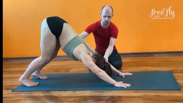 Собака мордой вниз - детальный разбор от @kostrikin_yoga. Йога для тренеров (adho mukha svanasana) смотреть онлайн