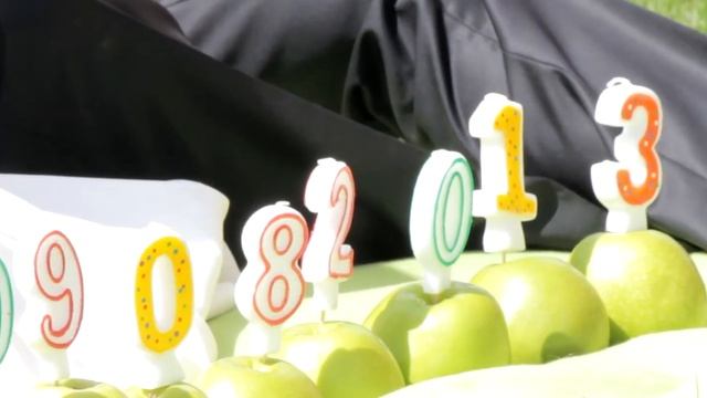 Свадьба. Виктория и Егор. (2013-08-09) смотреть онлайн