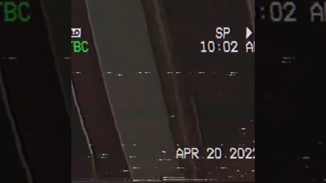 Level 974 "Kitty's House" Backrooms смотреть онлайн