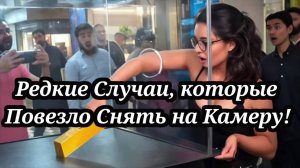 Редкие Случаи, которые Повезло Снять на Камеру!