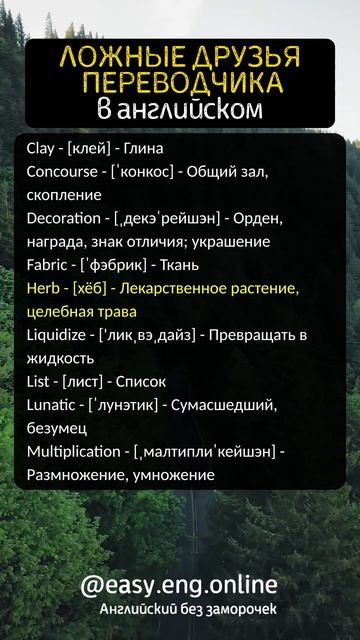 📌 КАК ВЫУЧИТЬ АНГЛИЙСКИЙ ЯЗЫК С НУЛЯ | 🔥 ПРОСТАЯ И МЕДЛЕННАЯ ТРЕНИРОВКА | Английский для Начинающи смотреть онлайн