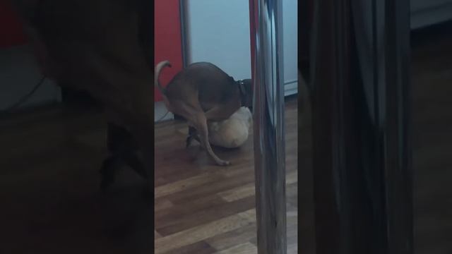 Секас смотреть онлайн
