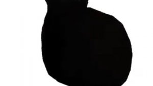 Котик кружится под забавную песню 2часа