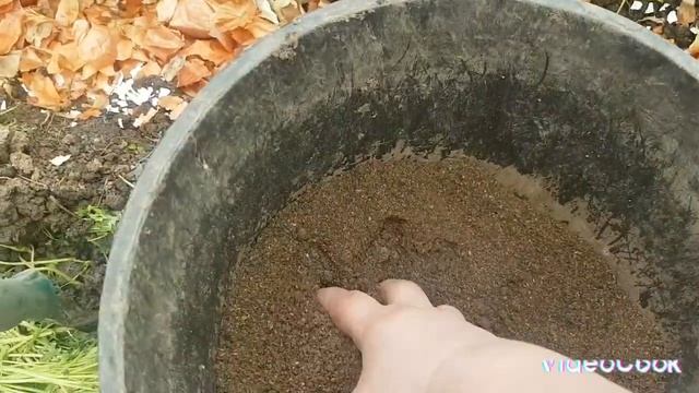 Высаживаю рассаду томатов в теплицу/ чем заполняю лунки 🍅🍅🍅