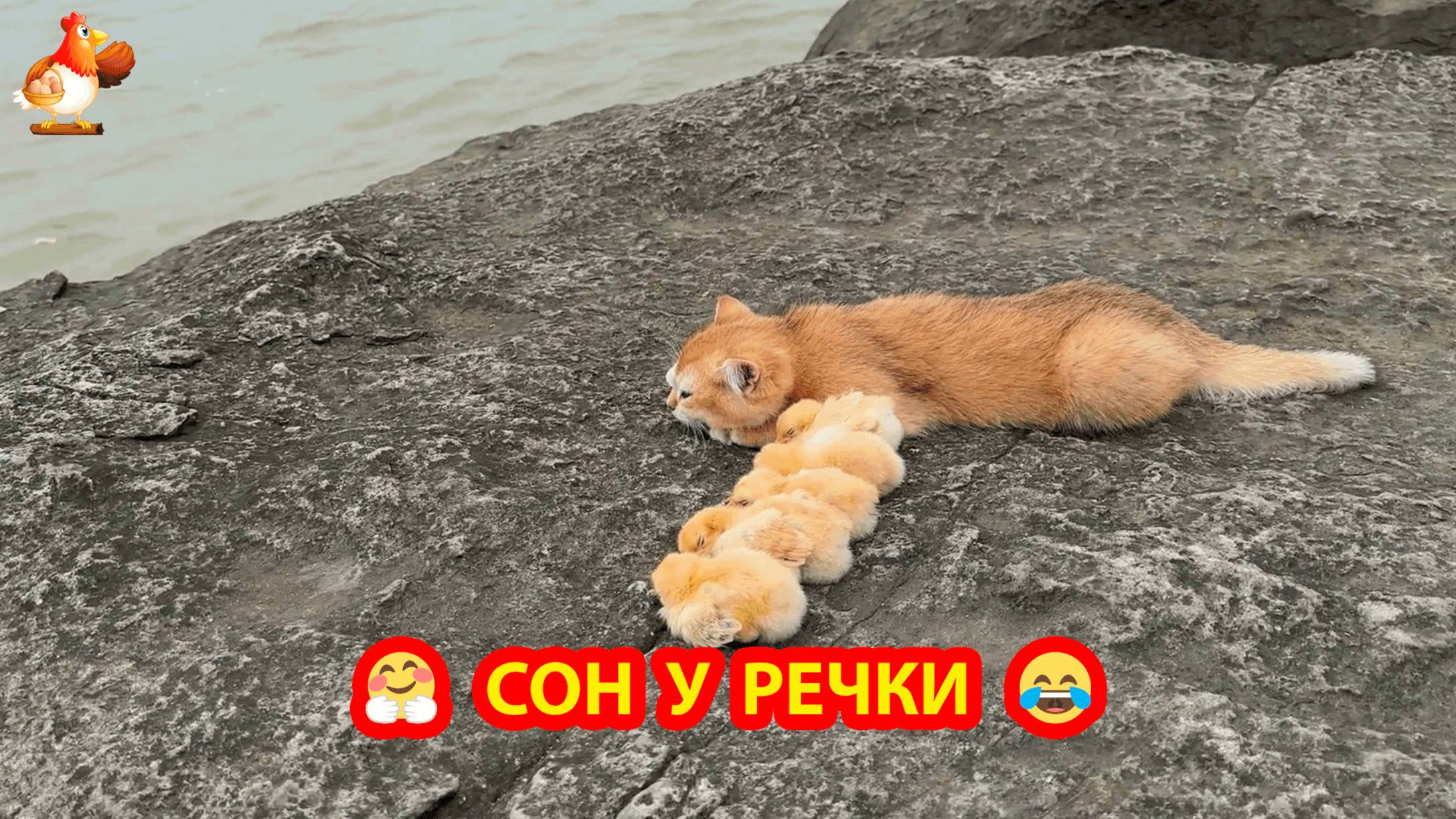 Сон у речки самый сладкий сон ❣️🤗😍 смотреть онлайн