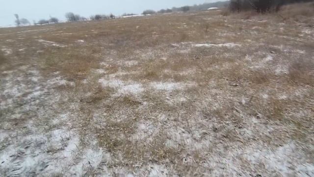 Ждал лису, а прибежал заяц! смотреть онлайн