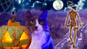 Сиреноголовый ПРИШЁЛ! Питомцы вызвали монстра в реальности 👻