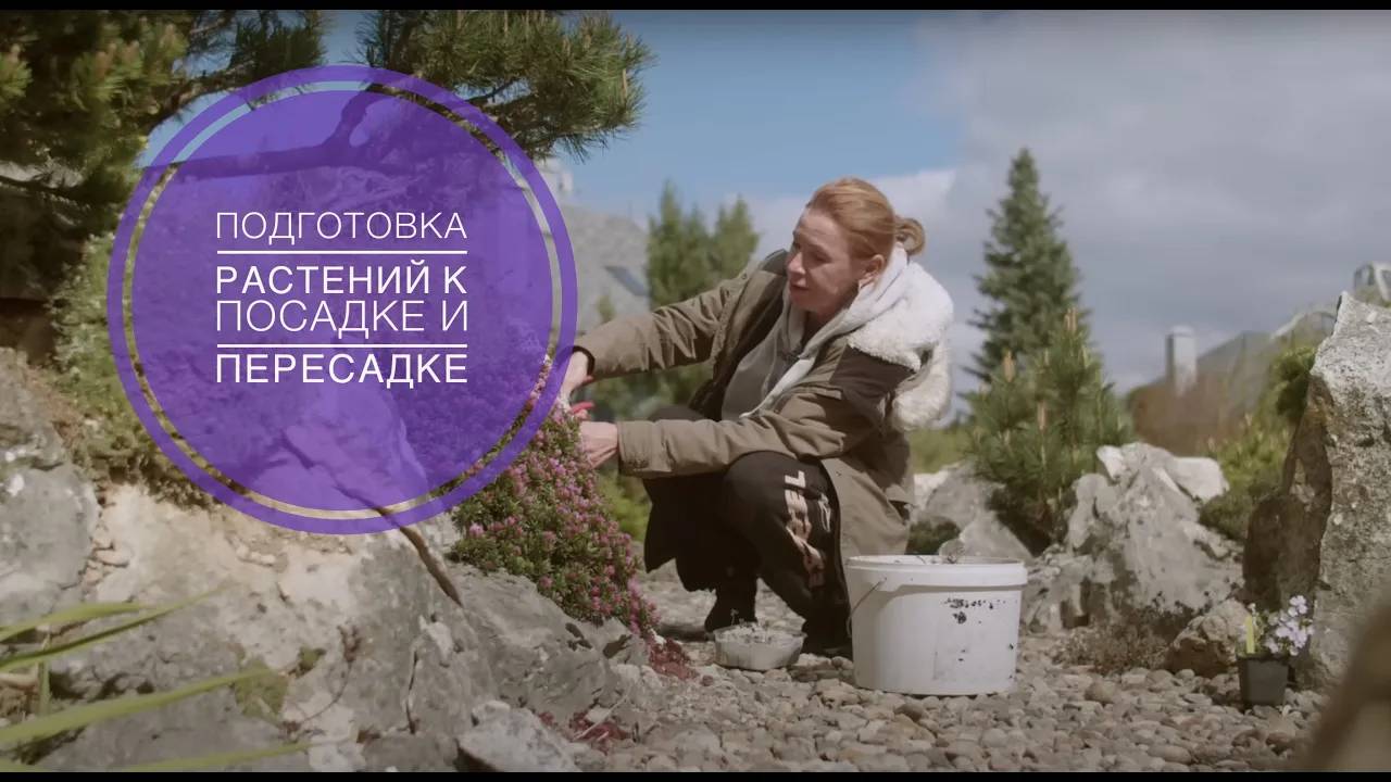 ПОДГОТОВКА РАСТЕНИЙ К ПОСАДКЕ И ПЕРЕСАДКЕ смотреть онлайн
