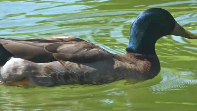 Imagenes De La Naturaleza En La Provincia De Granada