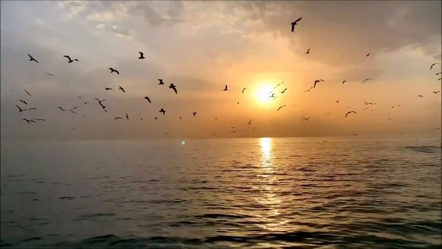 Пианино . Романтическая мелодия души! Piano Romantic melody of the soul! смотреть онлайн