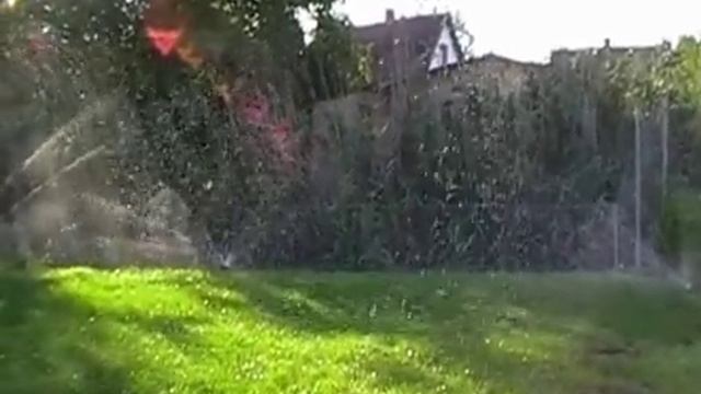 kert_hatul.avi смотреть онлайн